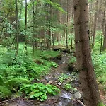 Do Blym * Lohberg